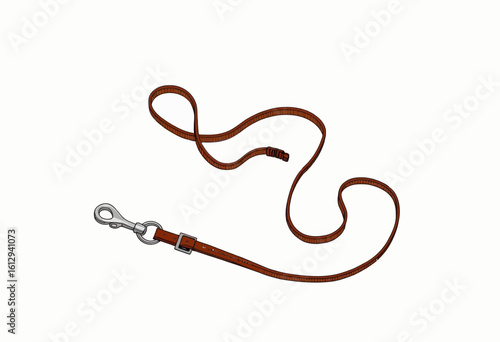 Brown leather dog leash on white background  