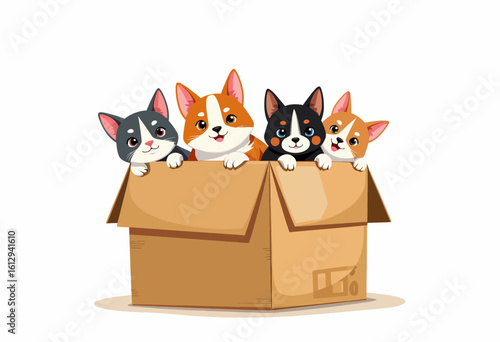 Four playful corgi puppies peeking out of a cardboard box  