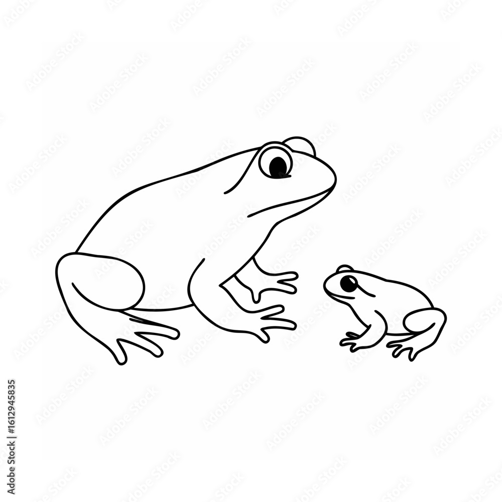 Fototapeta premium Frog Lifecycle Stages Illustration Vector Graphic Design