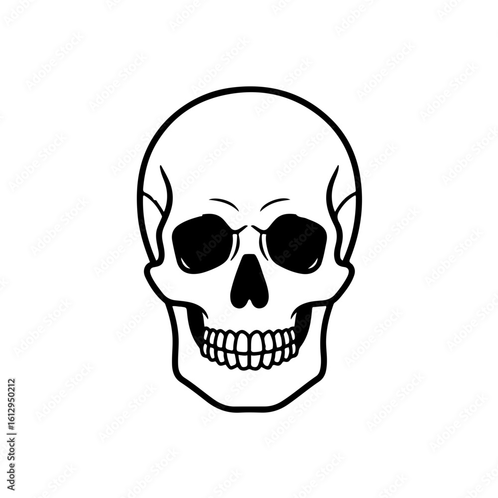 human skull human skull