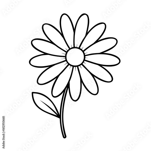 Simple daisy flower with leaf bloom petal
