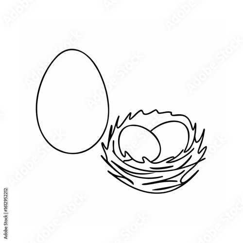 Bird Eggs Nest Drawing, Spring Symbolism And New Life Concept