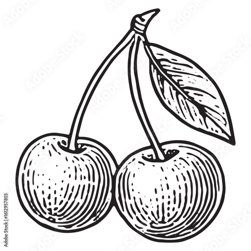 Wallpaper Mural Intricate Black and White Cherry Sketch for Artistic Design Works Torontodigital.ca