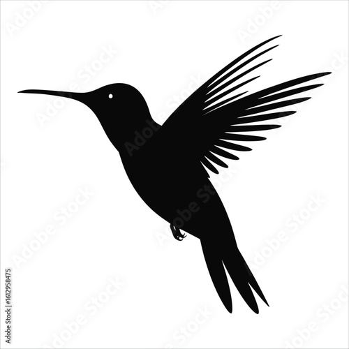Hummingbird silhouette vector icon. Black bird in flight graphic illustration isolated on a white background. Simple colibri shape for logo design.