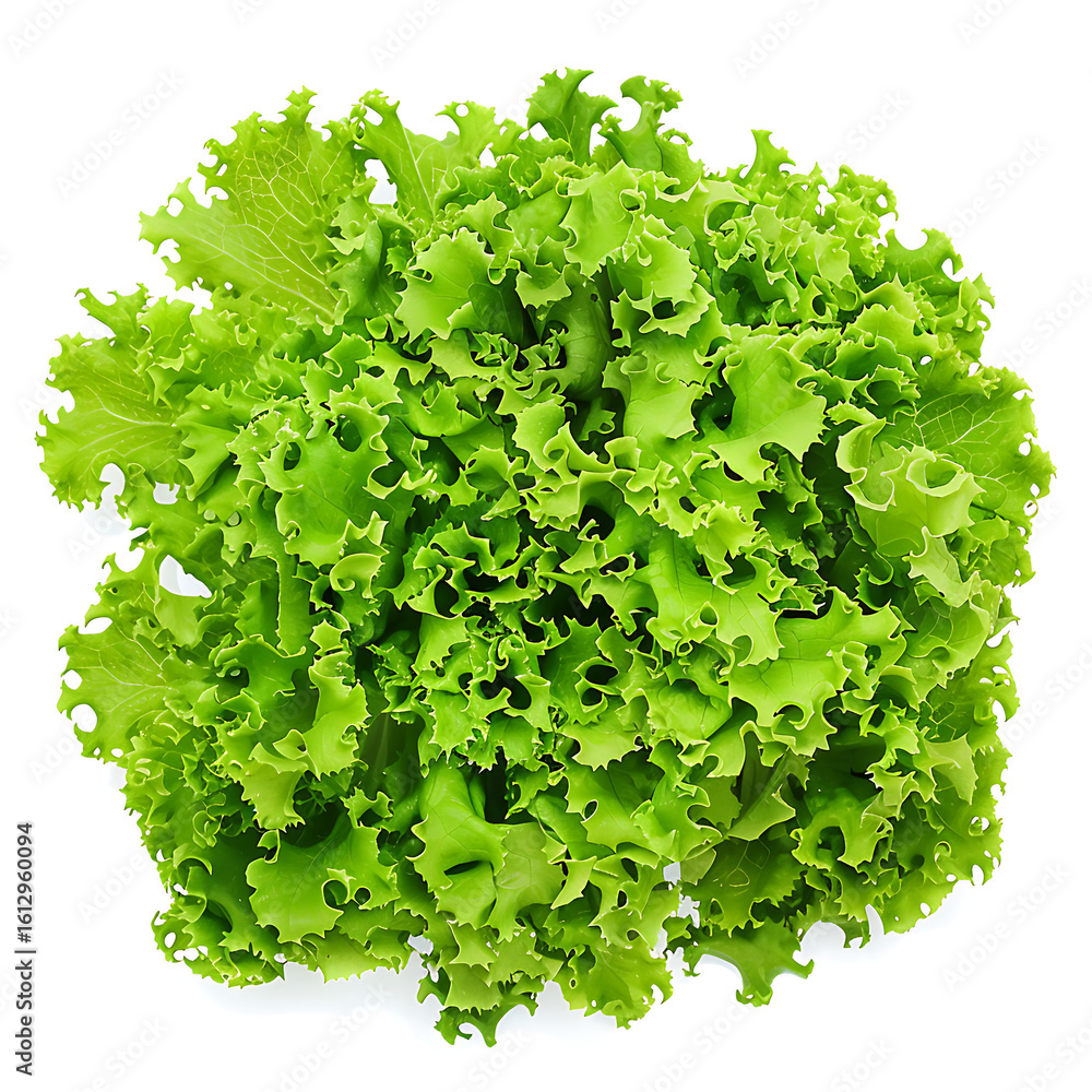 Obraz premium Fresh Green Leafy Lettuce Isolated on White Background