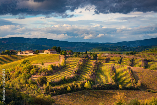 terraced vineyards in the countryside of Gaiole in Chianti (Siena)