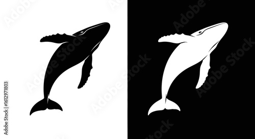 Two humpback whale silhouettes, one black on white and the other white on black, both leaping upwards.