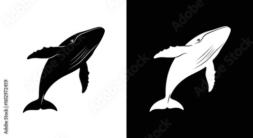 Whale illustration in black and white, featuring a contrasting color scheme with a whale silhouette on each side.