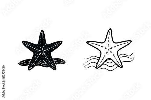 Black and white starfish on sand and waves ocean marine life