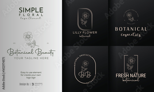 Minimal feminine botanical floral branch and logo. Hand drawn wedding herb, homeplant with elegant leaves. Botanical rustic trendy greenery