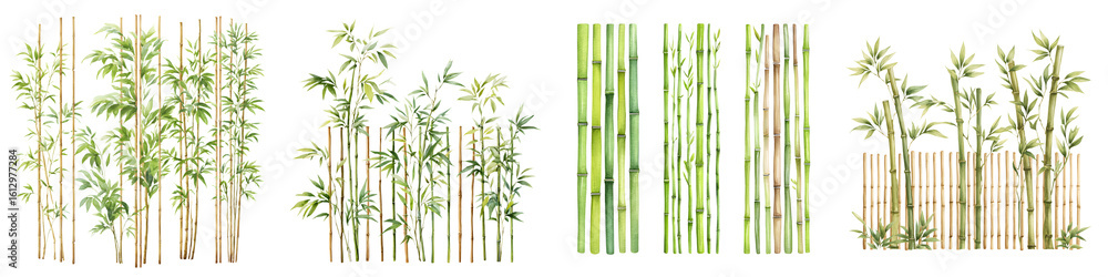Naklejka premium Collection of Bamboo Plants Isolated on White