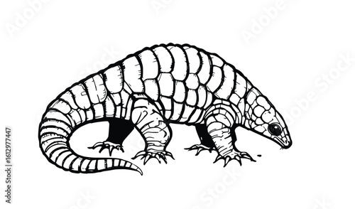 Pangolin Vector Outline Illustration – Armored Mammal with Scales in Side Walking Pose, Wildlife and Conservation Design