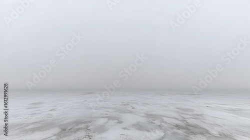 Vast Misty Landscape In Winter