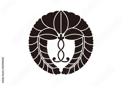 奈良春日大社　軸付き下り藤