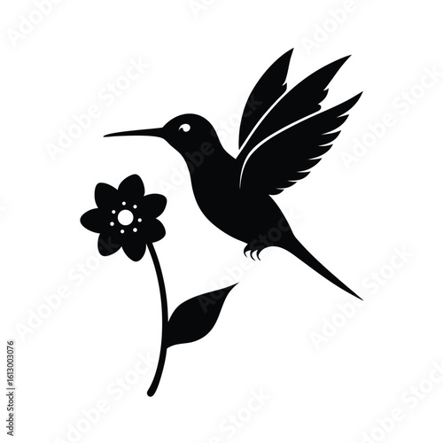 Elegant black silhouette of a hummingbird in flight gracefully hovering above a vibrant blooming flower