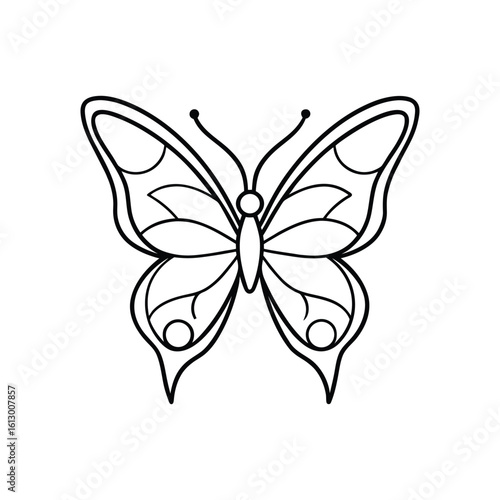 Butterfly line art, butterfly line drawing
