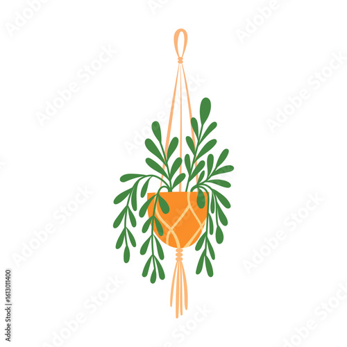 Macrame Plant Hangers with Green Plants in Pots for Home Decor, Interior Design, and Boho Style Modern Indoor Gardening Ideas for Apartments and Living Rooms.