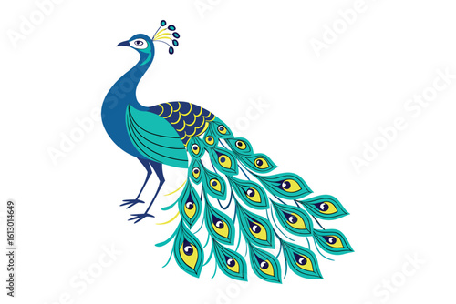 Elegant peacock with vibrant blue and green plumage and fanned tail feathers silhouette isolated on white background