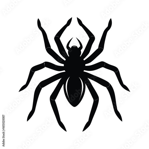 Intimidating tarantula spider in defensive stance black silhouette vector art