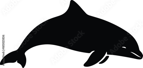 Silhouette playful dolphin leaping marine wildlife vector illustrator