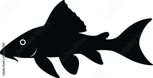 Silhouette pleco fish pet shop aquarium underwater vector illustrator