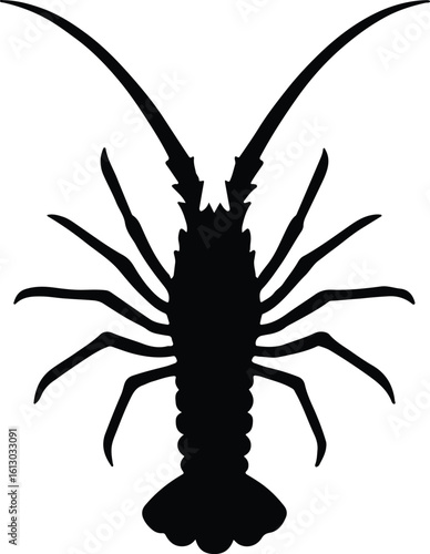 Silhouette spiny lobster front view black shape vector illustrator