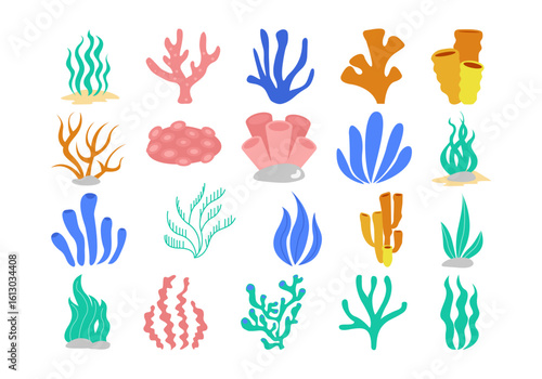 Hand Drawn Sea Plant Element