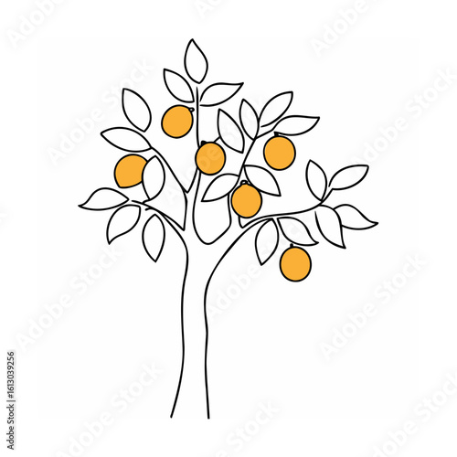 Orange tree with ripe fruit citrus leaves