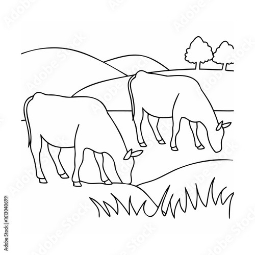 Two cows grazing on rolling hills with trees cattle