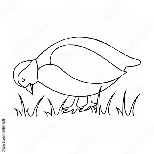 Black and white illustration of a bird pecking at grass
