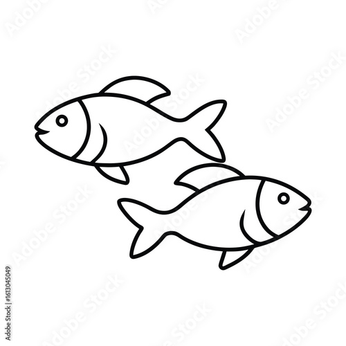 fish on a white background