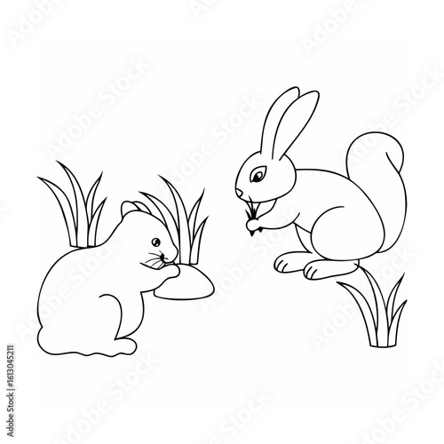 Rabbit and squirrel eating grass nature