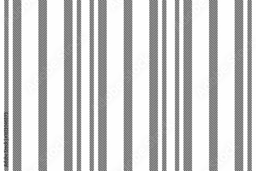 Soyal texture vertical vector, presentation stripe background pattern. Batin lines fabric seamless textile in white and black colors.