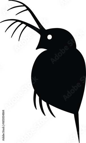 Silhouette Daphnia water flea zooplankton microorganism plankton aquatic life vector illustrator