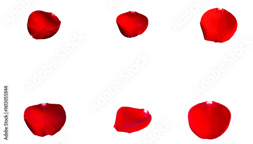 Red rose petals scattered in the shape of a heart on a white background.