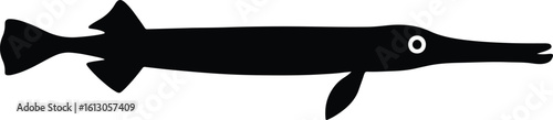 Silhouette gar fish black and white vector illustrator