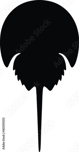 Silhouette horseshoe crab fossil ancient arthropod vector illustrator