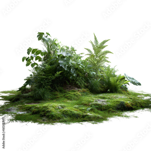 Fototapeta Naklejka Na Ścianę i Meble -  A jungle floor covered with green moss and leaves isoleted on transparent background .