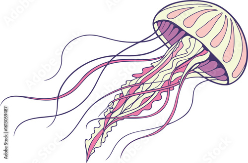 Realistic colorful jellyfish illustration with lifelike tentacles and vibrant ocean gradient perfect for marine artwork. Realistic colorful jellyfish drawing with detailed textures and natural