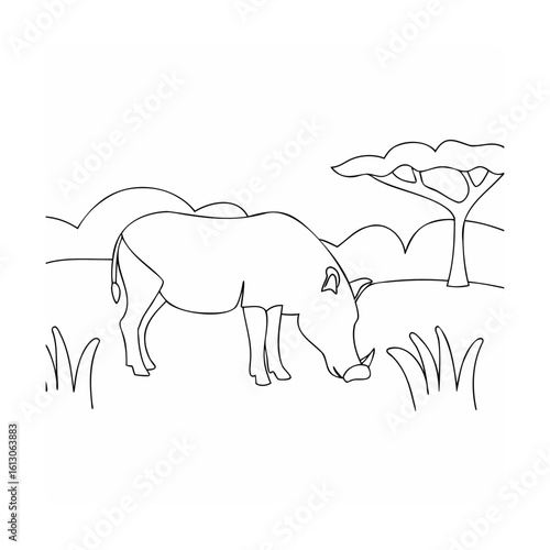 Warthog grazing near acacia tree in savanna wild pig