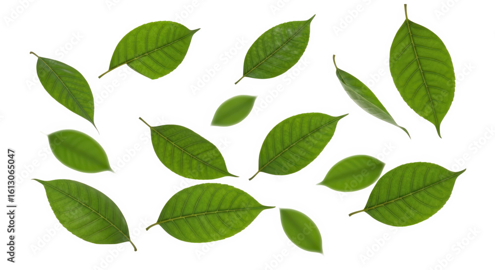 Fototapeta premium Ai generated image of scattered green leaves isolated on a transparent background