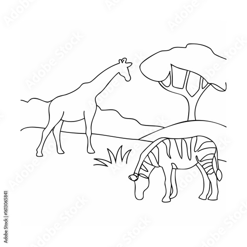 Giraffe and zebra grazing under acacia tree savanna