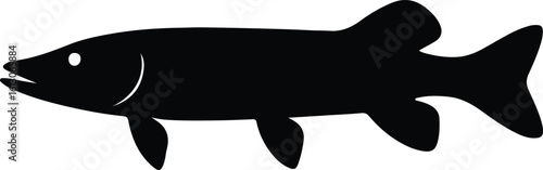 Silhouette pike fish predator isolated vector illustrator