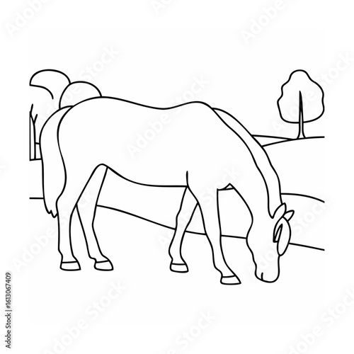 Horse grazing in a field animal meadow