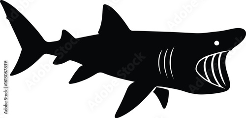 Silhouette Shark ferocious open mouth black shape vector illustrator