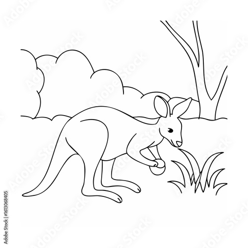 Kangaroo grazing in grassy landscape marsupial animal