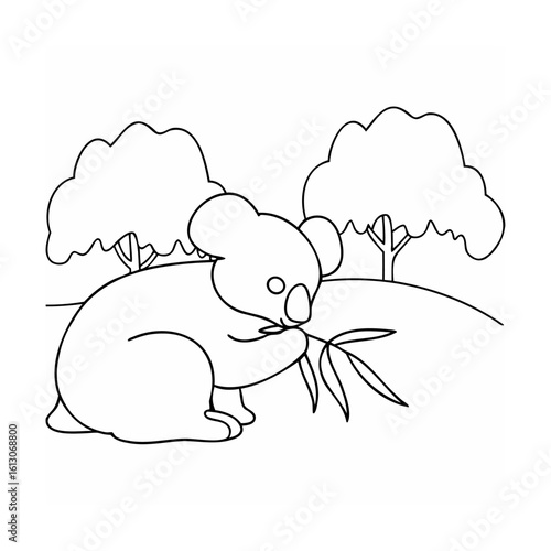 Cute koala eating eucalyptus leaves under trees animal