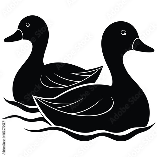 two ducks on white background