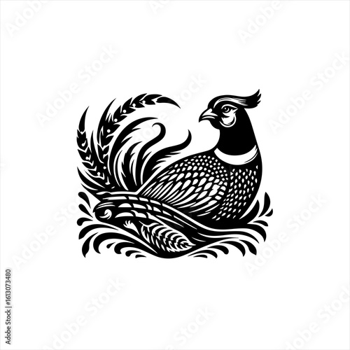 Pheasant bird illustration