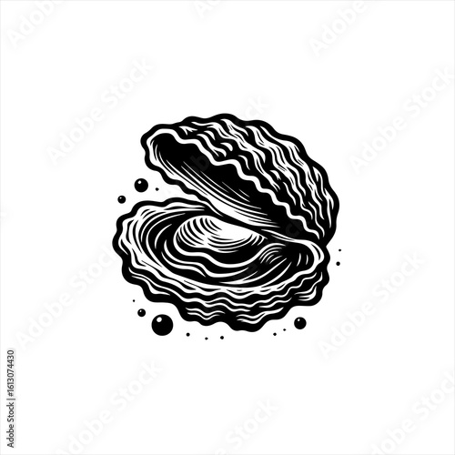 Open oyster illustration